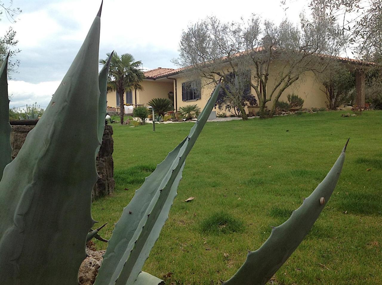 Bed And Breakfast Ellera Viterbo Esterno foto