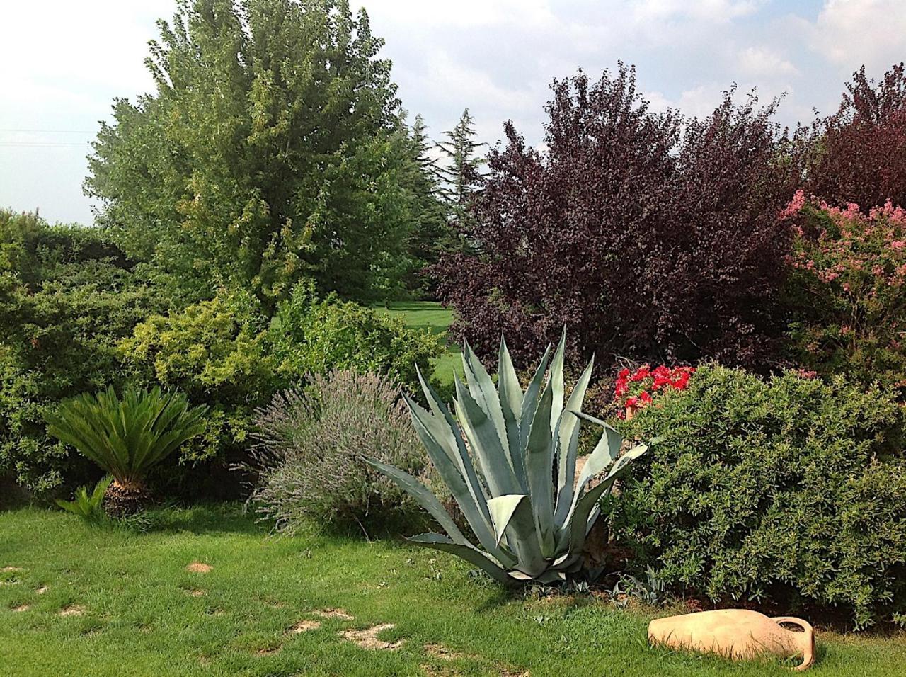 Bed And Breakfast Ellera Viterbo Esterno foto