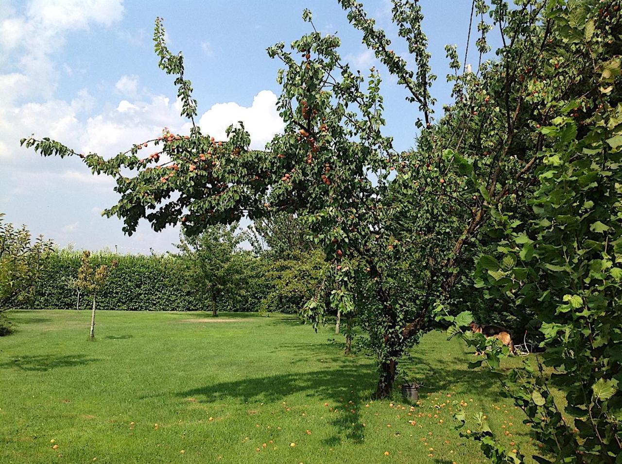 Bed And Breakfast Ellera Viterbo Esterno foto