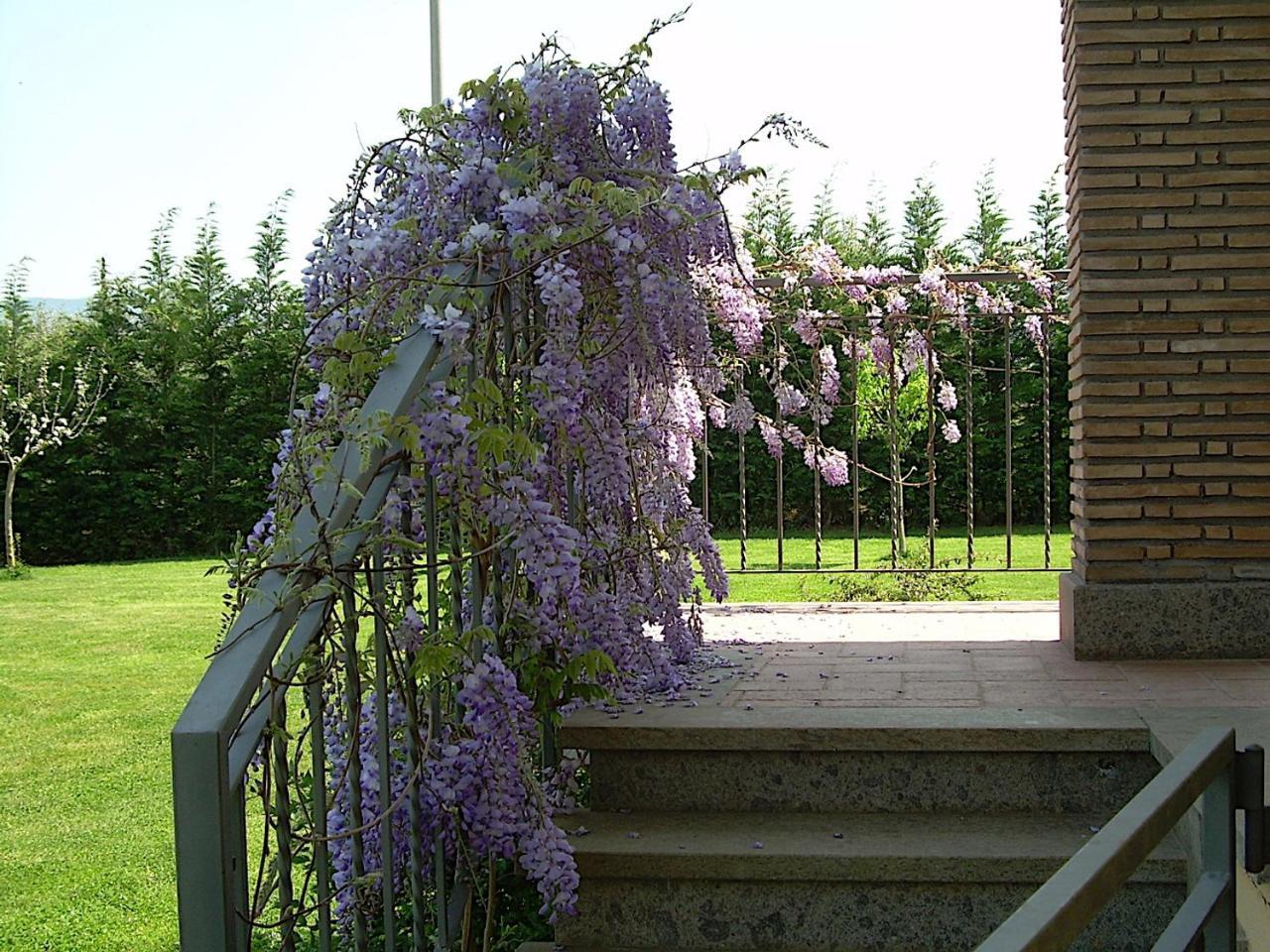 Bed And Breakfast Ellera Viterbo Esterno foto